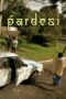 pardesi-poster Pardesi - Af Somali