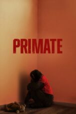 Primate - Af Somali
